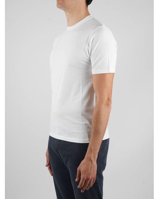 alpha material shirt