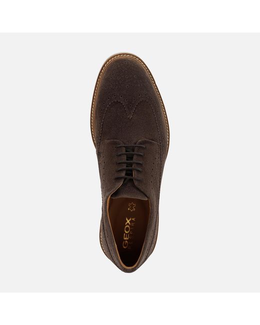 Geox Gubbio Dark Suede Casual Brogues 