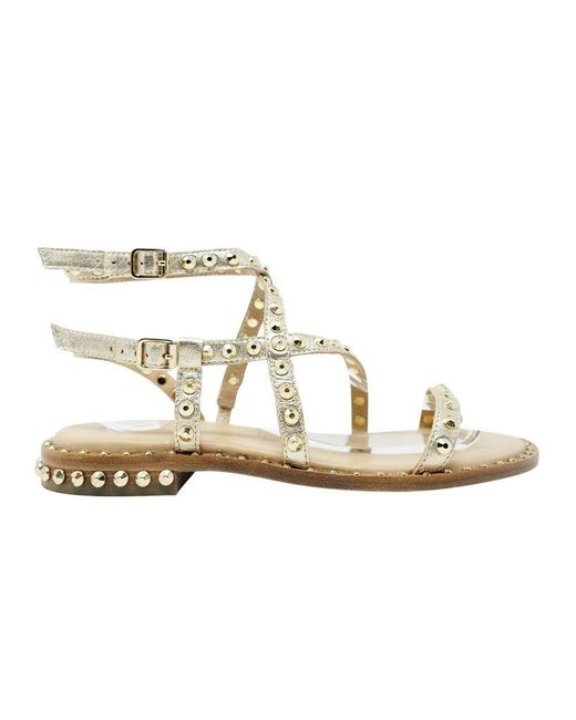 Ash Petra 06 Leather Flat Sandals With Studs in Gold (Metallic) - Lyst