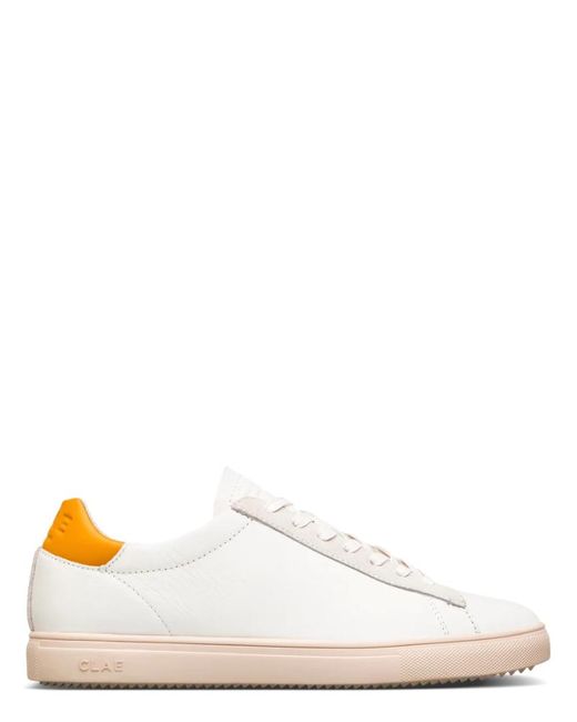 clae bradley trainers