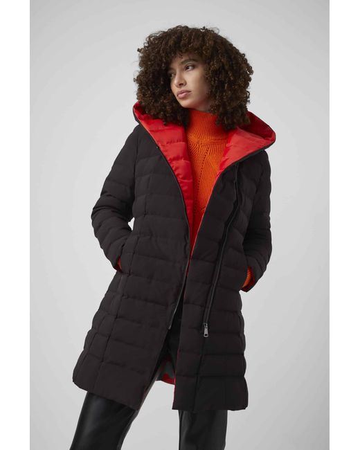 French Connection Hooded Puffer Coat 