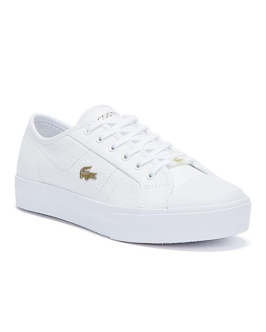 lacoste ziane plus grand