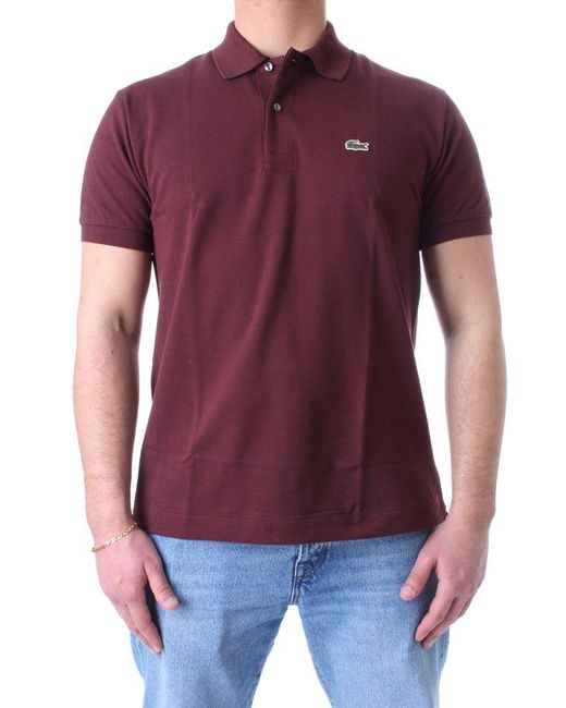 Lacoste T-shirts And Polos in Brown for 
