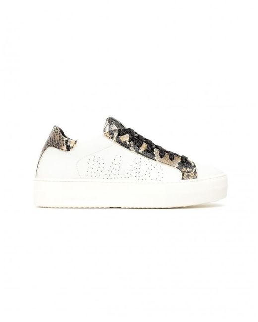 p448 snake sneaker