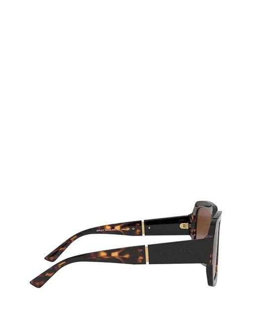 prada sunglasses havana brown