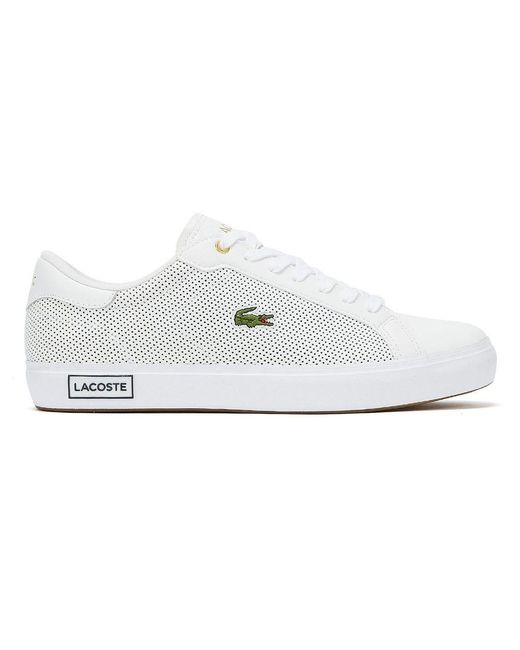 foot asylum lacoste