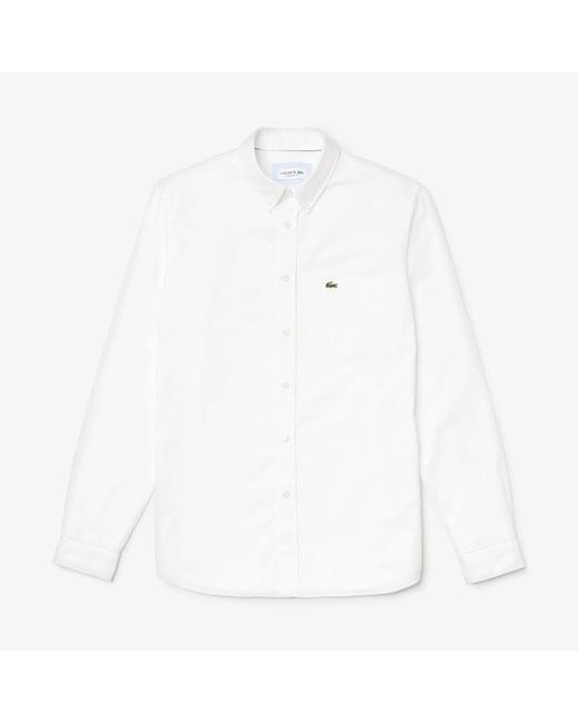 lacoste white oxford shirt