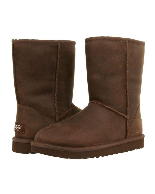 UGG】CLASSIC SHORT LEATHER - www.sportsnetwork.co.jp