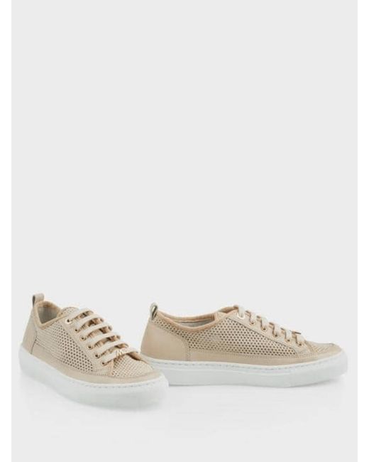 Marc Cain Leather Almond Knitted Look Trainers Sb Sh.16 M03 Col 134 in ...