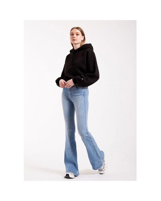 Dr. Denim Denim | Macy Jeans | Pyke 