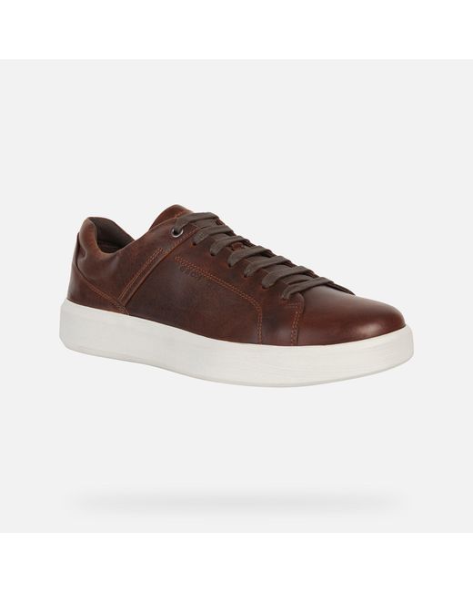 geox pontoise leather sneaker