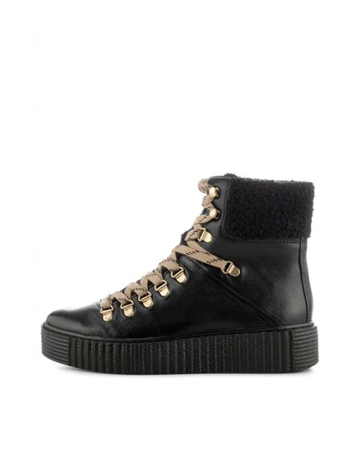 the bear agda boot