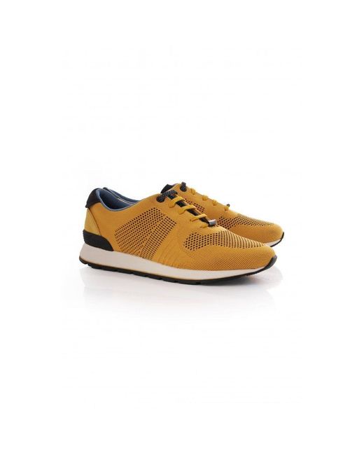 ted baker yellow trainers