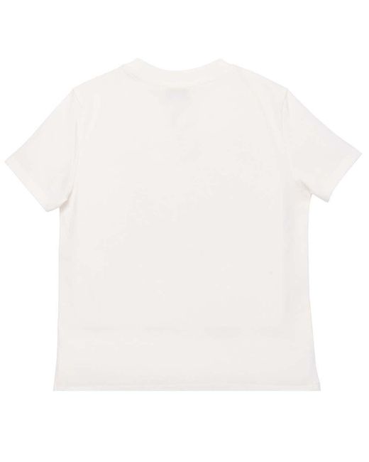 kramer in lobster shirt