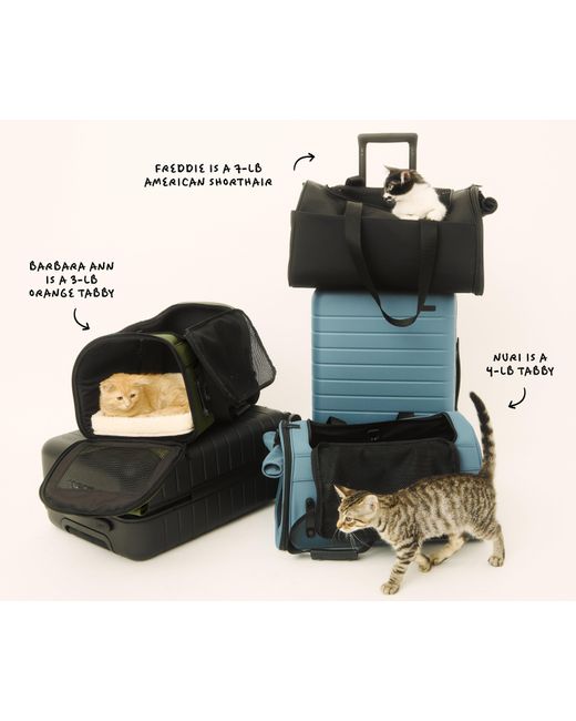 Away Travel Blue The Pet Carrier
