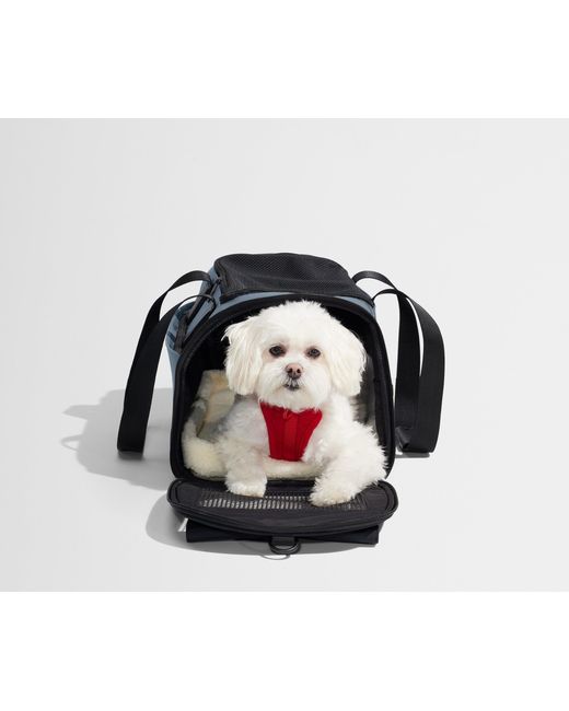 Away Travel Blue The Pet Carrier