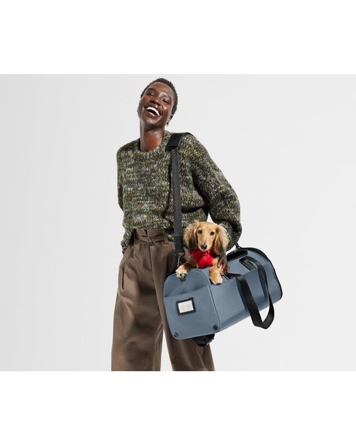 Away Travel Blue The Pet Carrier