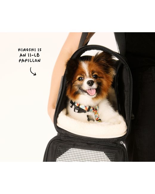 Away Travel Blue The Pet Carrier