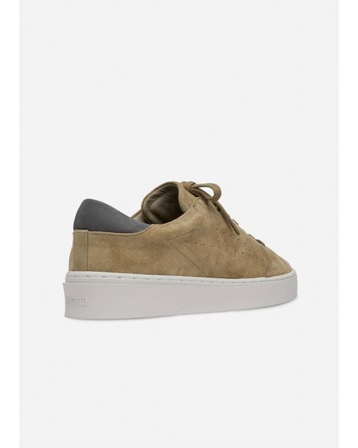 Axel Arigato Black Court Suede Sneaker for men
