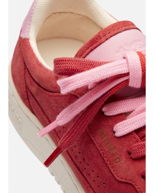 Axel Arigato Red Dice Lo Sneaker