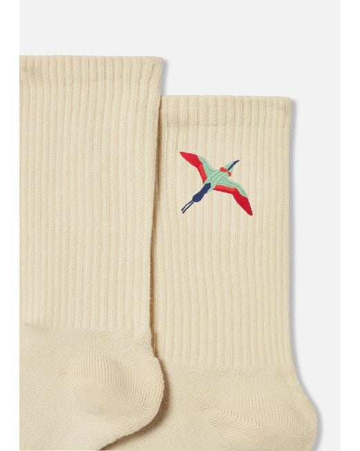 Axel Arigato White Bee Bird Tube Socks