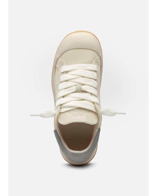 Axel Arigato Black Squish Sneaker