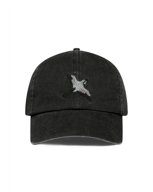 Axel Arigato Black Bee Bird Cap