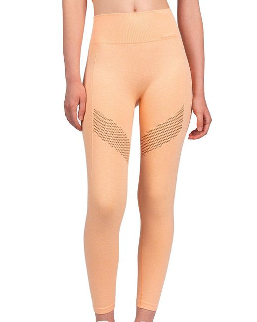 guess mesh leggings