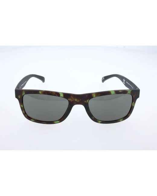 Adidas Gray Brown Acetate Sunglasses for men