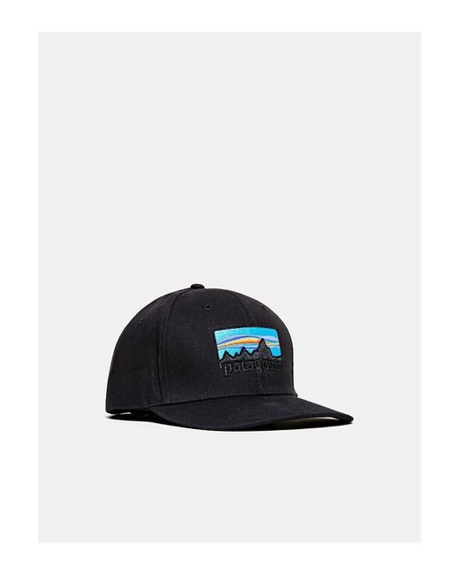 Patagonia 73 logo roger that hat sale