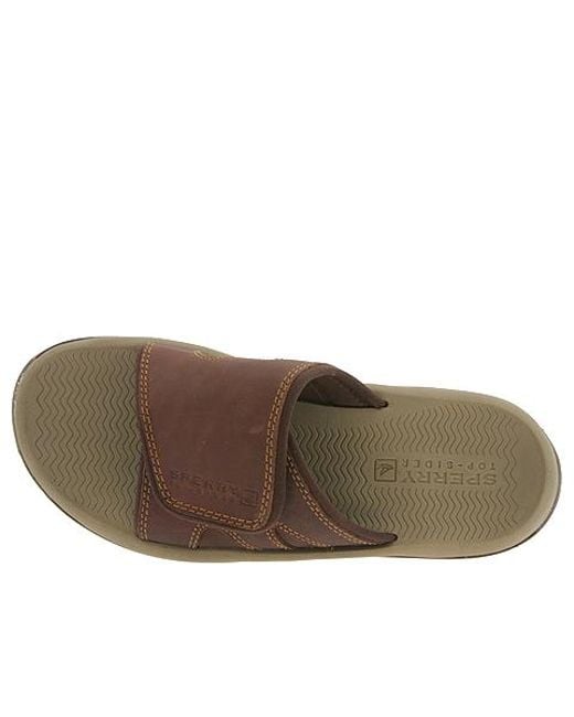 Sperry top 2024 sider slides