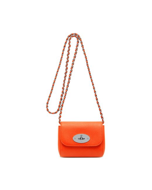 Mulberry Orange Mini Lily