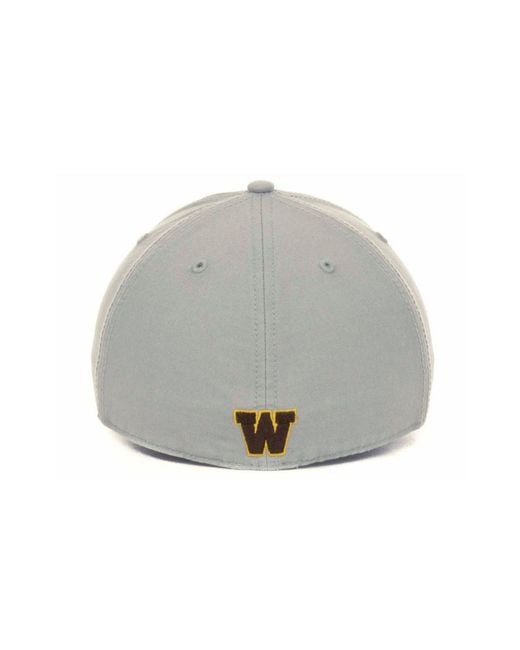 47 Brand Gray Wyoming Cowboys Ncaa 47 Grey Franchise Cap for men