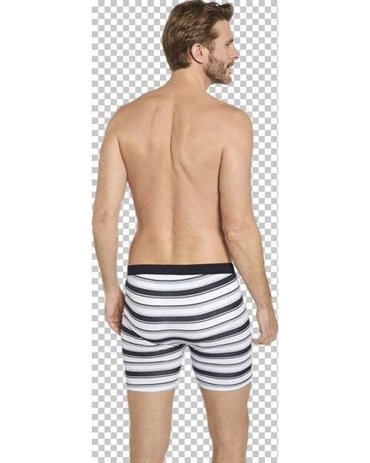 Babista 3Er Pack Retropants Vestalino in Blue für Herren