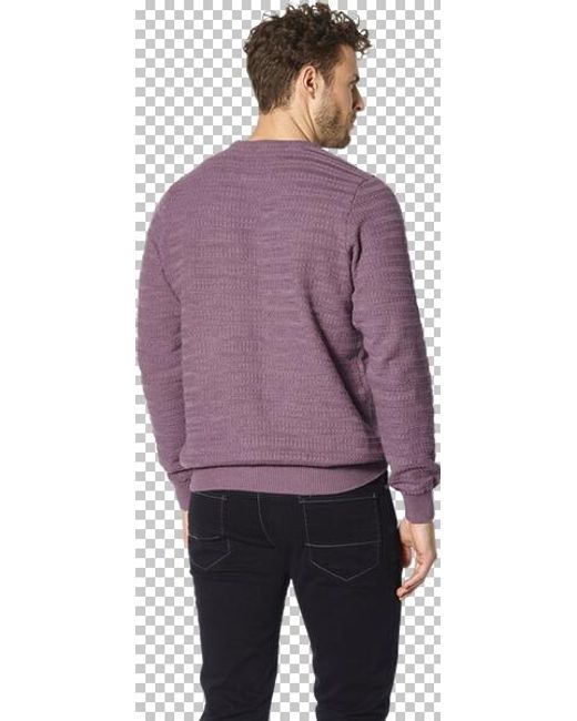 Babista Pullover Florevara in Purple für Herren