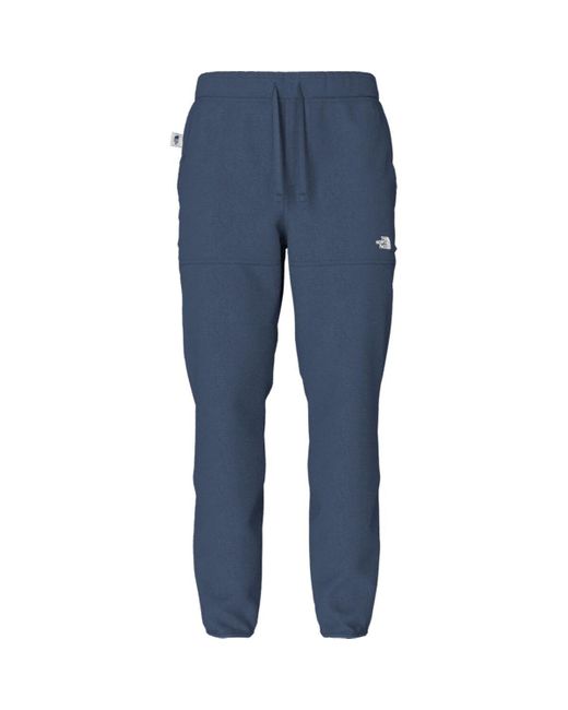 The North Face Alpine Polartec 100 Pant in Blue for Men | Lyst