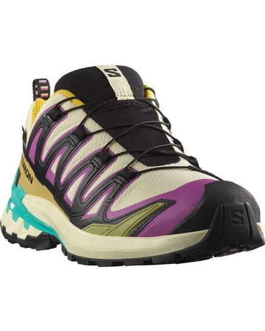 Salomon Blue Xa Pro 3D V9 Gore-Tex Trail Running Shoe