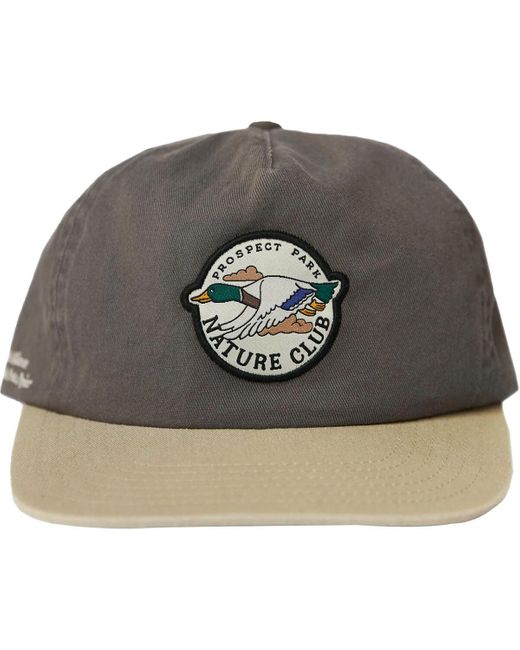 Parks Project Gray Prospect Park Alliance X Nature Club Hat