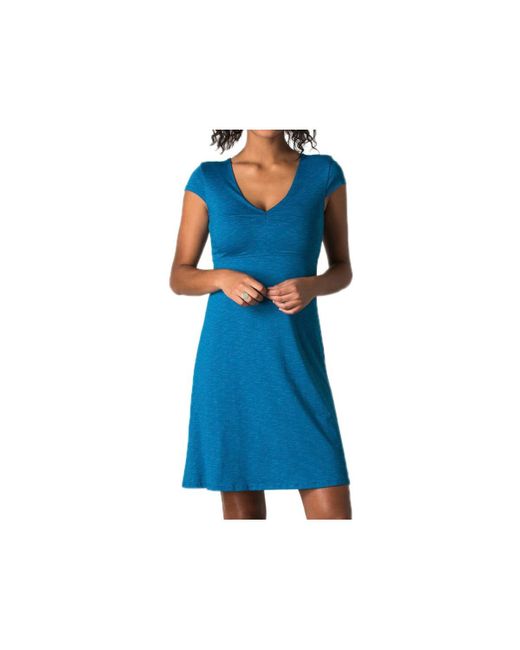 Toad&Co Blue Rosemarie Dress