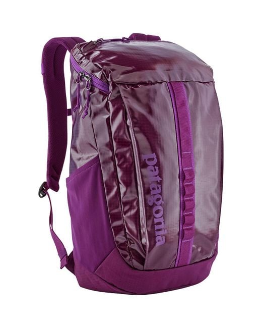Patagonia Purple Black Hole 25l Backpack for men