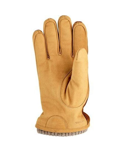 Hestra Brown Noah Glove