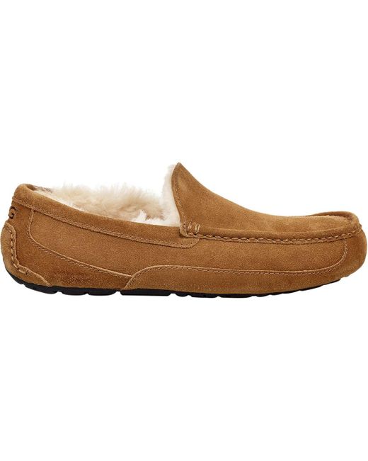 tan ugg slippers mens