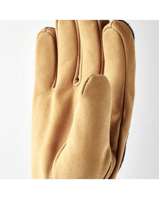 Hestra Black Noah Glove