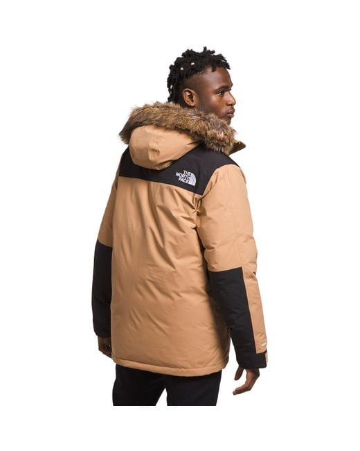 parka the north face mcmurdo
