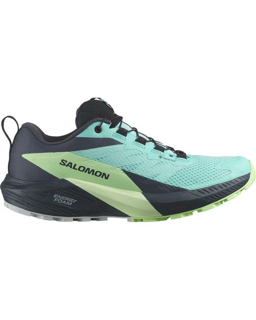 Salomon Green Sense Ride 5 Gtx Trail Running Shoe