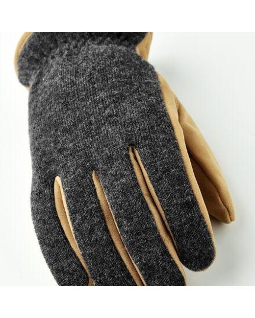 Hestra Black Noah Glove