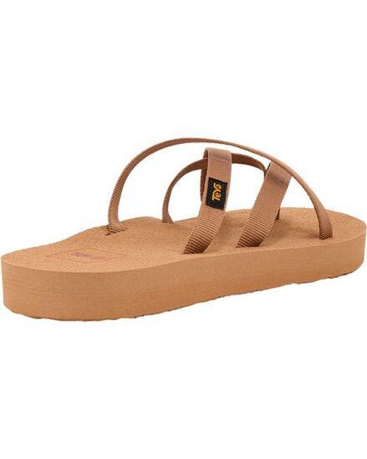 Teva Brown Olowahu Sandal