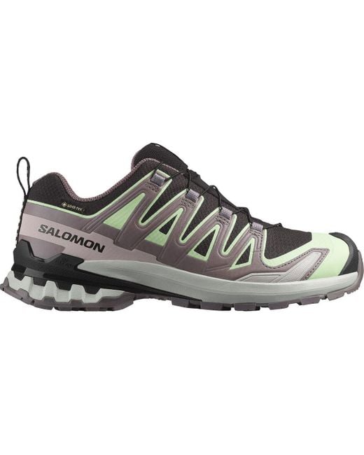 Salomon Gray Xa Pro 3D V9 Gore-Tex Trail Running Shoe