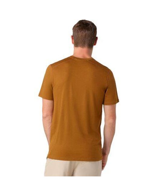 Smartwool Brown Merino Short-Sleeve T-Shirt for men