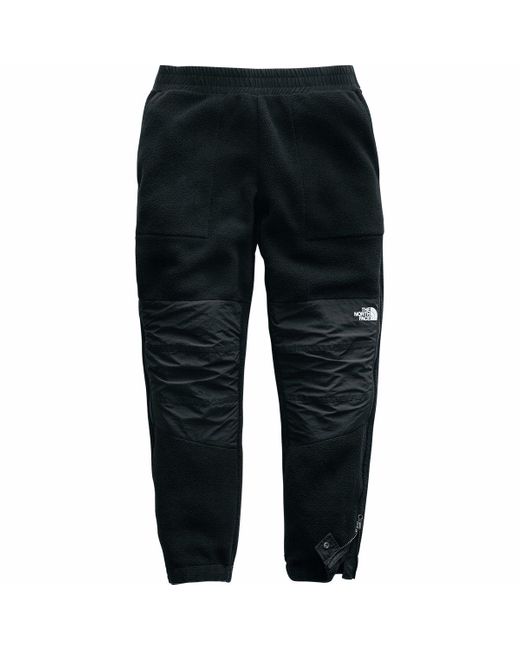 the north face 95 retro denali pants